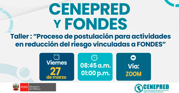 Taller online gratis: "Proceso de postulación para actividades en reducción del riesgo vinculadas a FONDES"