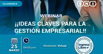 Webinar online gratis "Ideas claves para la gestión empresarial" de la SNI