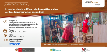 Capacitación online gratis "Importancia de la Eficiencia Energética en los centros transformación secundaria"