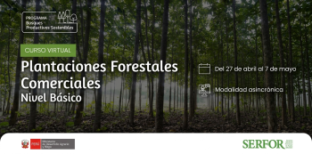 Curso online gratis - "Plantaciones Forestales Comerciales – Nivel Básico" SERFOR