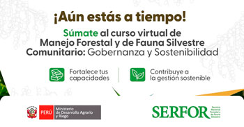 Curso online Manejo Forestal y de Fauna Silvestre Comunitario: Gobernanza y Sostenibilidad del SERFOR