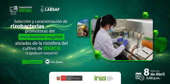 Curso VIRTUAL - "Selección y caracterización de rizobacterias promotoras del crecimiento vegetal" INIA