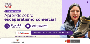 Taller virtual - "Diseña vitrinas atractivas para vender más" Ministerio de la Producción (PRODUCE)