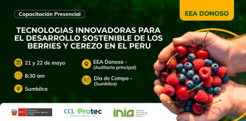 Capacitación presencial - "Tecnologías innovadoras para berries y cerezo en el Perú" INIA