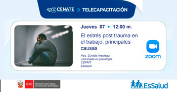 Capacitación online "El estrés post trauma en el trabajo: principales causas" de EsSalud