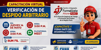 Capacitación virtual - "Verificación de Despido Arbitario" DRTPE Puno
