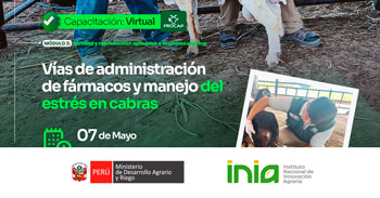 Capacitación virtual - "Vías de administración de fármacos y manejo del estrés en cabras" INIA