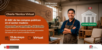 Charla online gratis - "El ABC de las compras públicas en el sector madera" CITEmadera