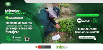 Charla VIRTUAL - "Momento de cosecha y de secado de Tithonia diversifolia para mejora de su valor forrajero."