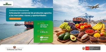 Conferencia virtual - "Articulación comercial de productos agrarios a los mercados" (MIDAGRI)
