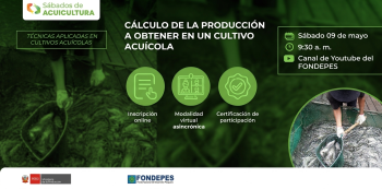 Curso online gratis "Cálculo de la producción a obtener en un cultivo acuícola" (FONDEPES)
