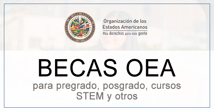  Becas OEA 2024 para peruanos