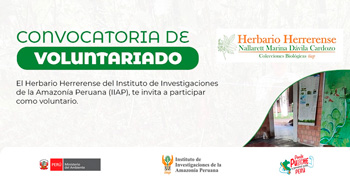 Programa de voluntariado 2025 - IIAP